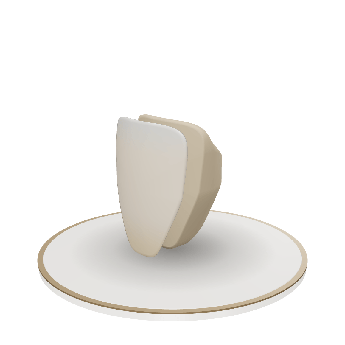 Rendered educational model of a ceramic veneer